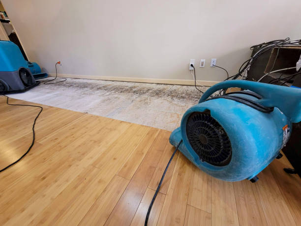 Professional Sewage Cleanup technician working in Brimson, MN